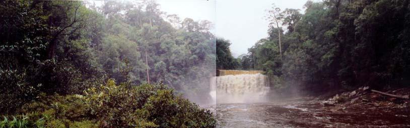 maliau07.jpg