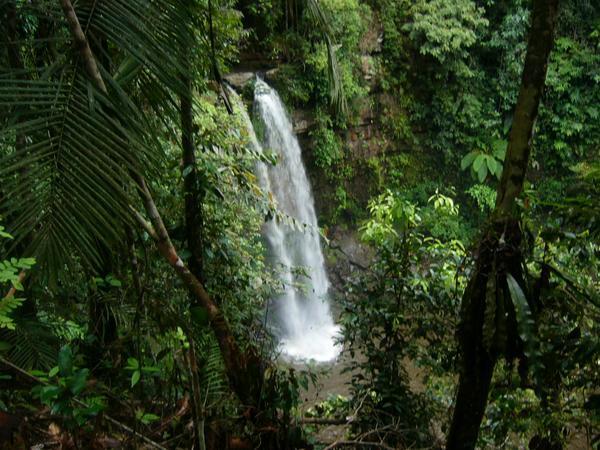 maliau10.jpg